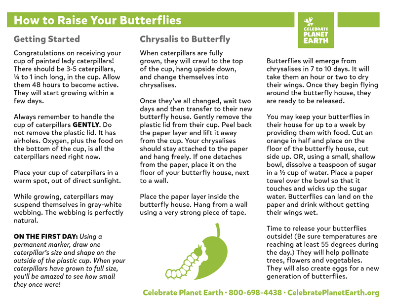 Butterfly Care 101 Celebrate Earth
